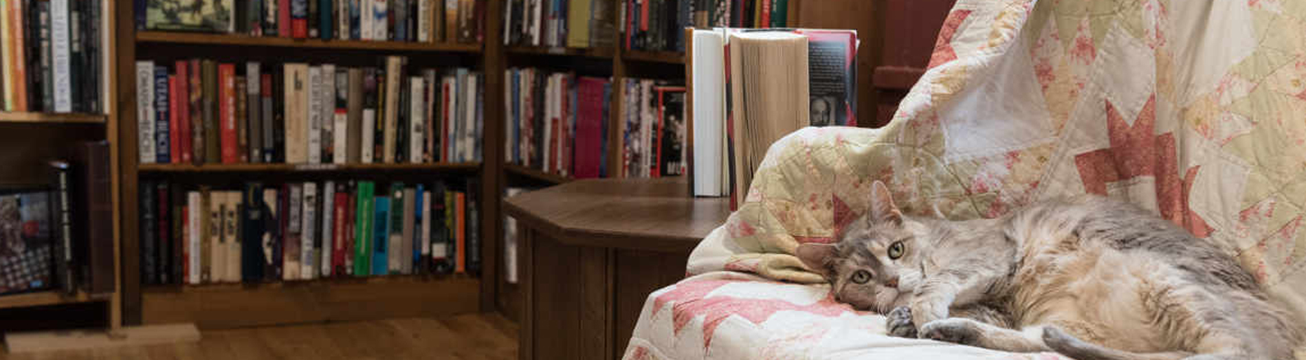 Inside of the book shoppe